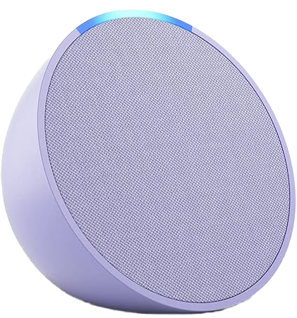 أليكسا إيكو بوب ( بنفسجي )